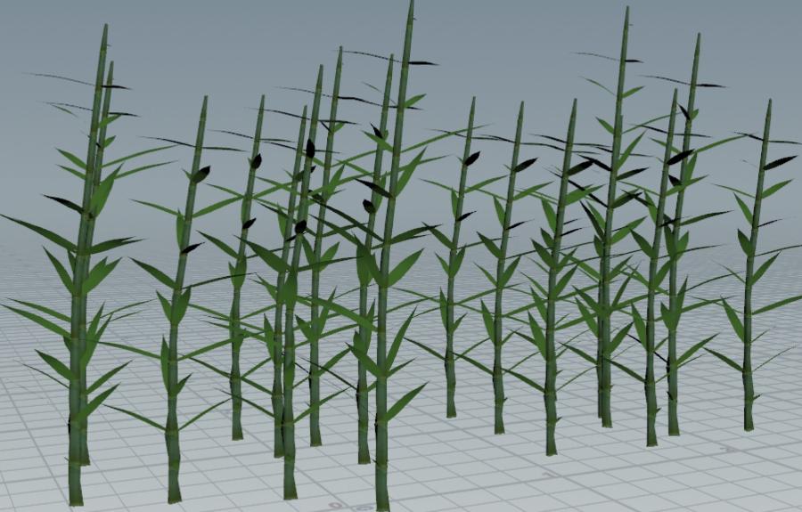 3d model generation of multiple reeds