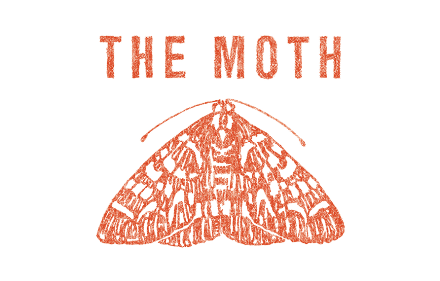 The Moth Logo with a reddish-orange colored drawing of a resting moth viewed from above 
