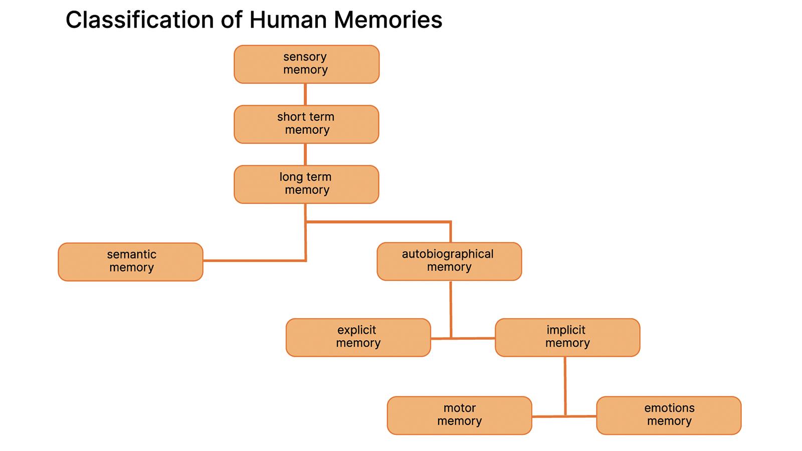 Tree chart depicting Classification of Human Memories