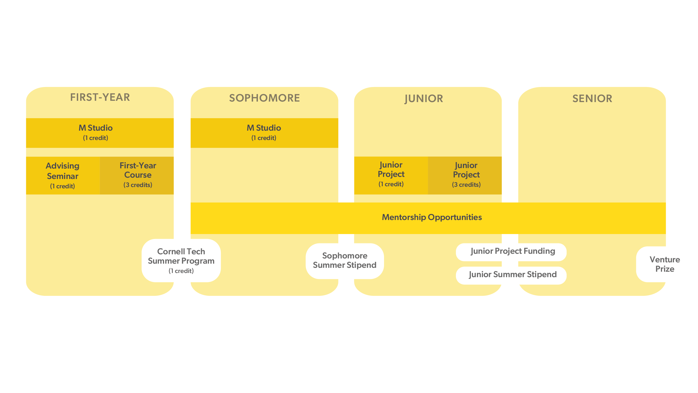 Milstein Program Pathway Graphic in Yellow, no logo