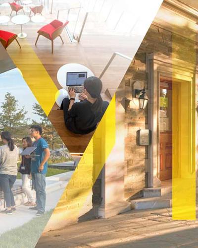 Milstein Program